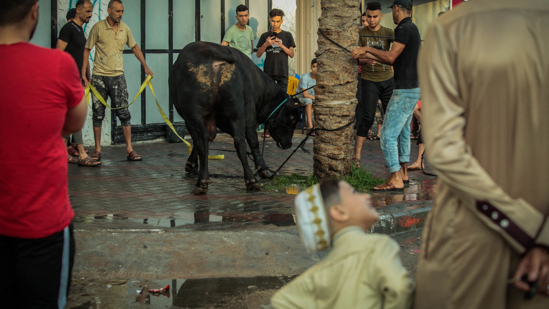 eid al adha palestine 