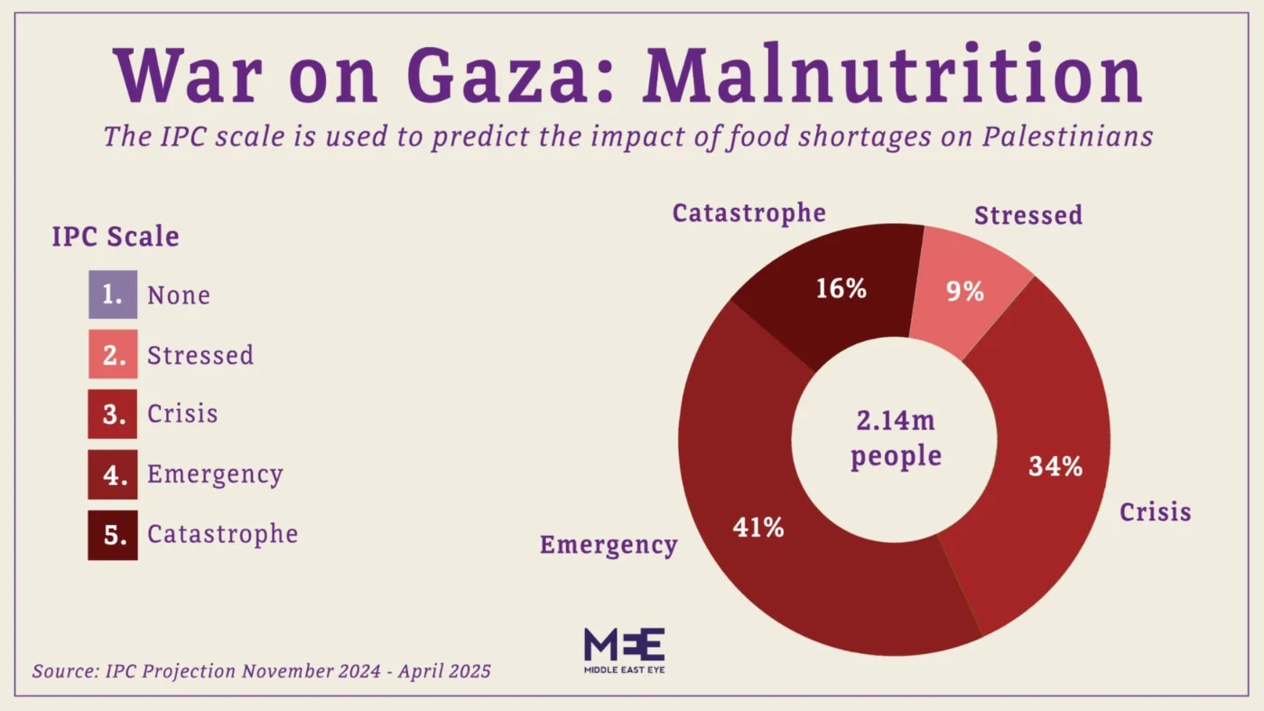 Malnutrition in Gaza